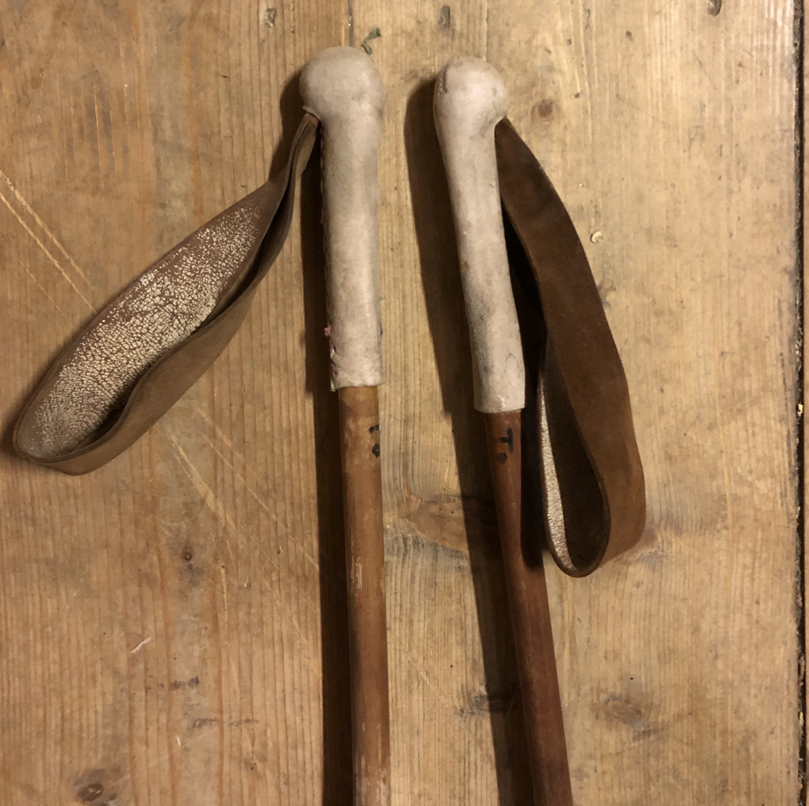 Läckra retro skidstavar